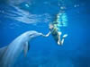 Activities in Riviera Maya